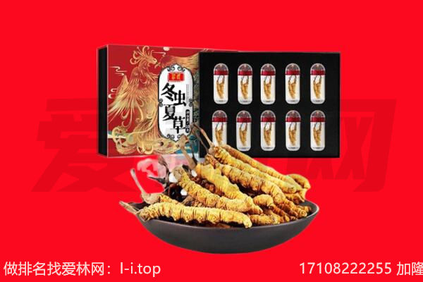 保定市定兴回收虫草.jpg